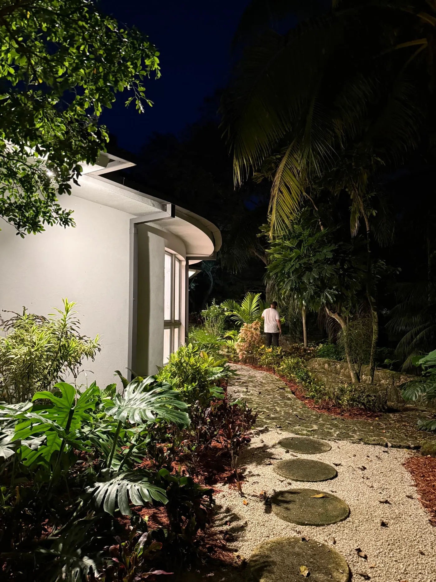 Sendero de jardín con iluminación exterior entre plantas, trabajo de ARAC Electric