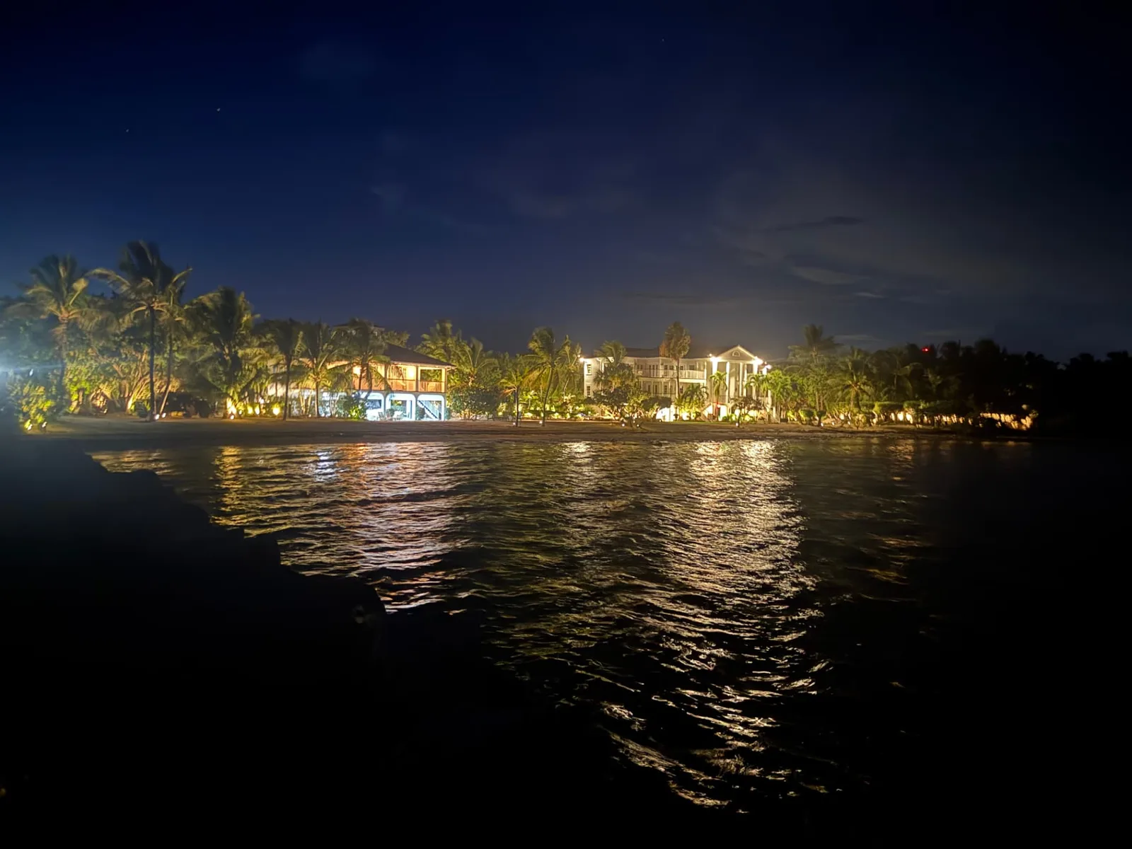 Residencias frente al mar con iluminación de palmeras y jardines de noche, trabajo de ARAC Electric